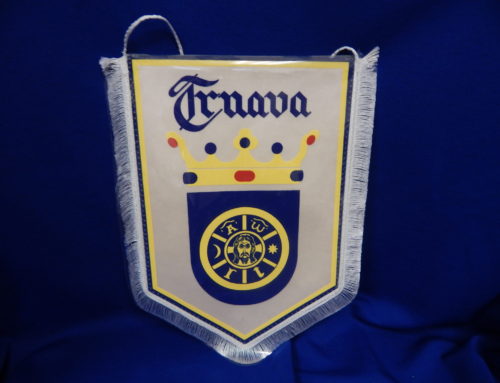 Banner – Traava