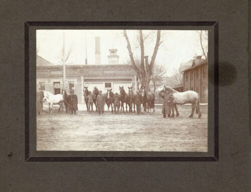 Photograph – Draft horses, Engine House #1, City Clerks